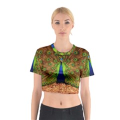 3d Peacock Bird Cotton Crop Top by Amaryn4rt