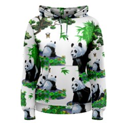 Cute Panda Cartoon Women s Pullover Hoodie by Simbadda