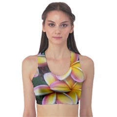 Premier Mix Flower Sports Bra by alohaA