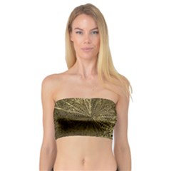 Peacock Metal Tray Bandeau Top by Simbadda