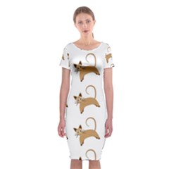 Cute Cats Seamless Wallpaper Background Pattern Classic Short Sleeve Midi Dress by Simbadda