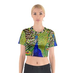 Graphic Painting Of A Peacock Cotton Crop Top by Simbadda