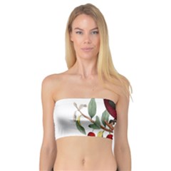 Bird On Branch Illustration Bandeau Top by Amaryn4rt