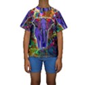 Abstract Elephant With Butterfly Ears Colorful Galaxy Kids  Short Sleeve Swimwear View1