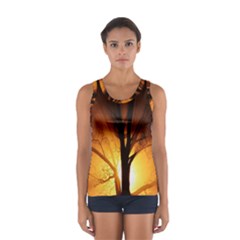 Rays Of Light Tree In Fog At Night Women s Sport Tank Top  by Amaryn4rt