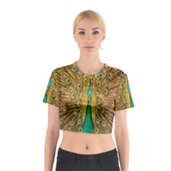 Peacock Bird Feathers Cotton Crop Top by Simbadda