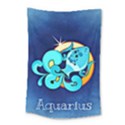 Zodiac Aquarius Small Tapestry View1