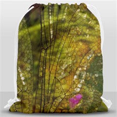 Dragonfly Dragonfly Wing Insect Drawstring Bag (large) by Nexatart