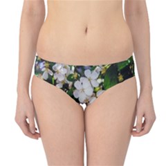 Tree Blossoms Hipster Bikini Bottoms by dawnsiegler