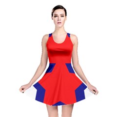 Stars Red Blue Reversible Skater Dress by Mariart