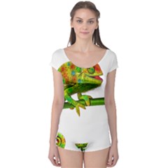 Chameleons Boyleg Leotard  by Valentinaart