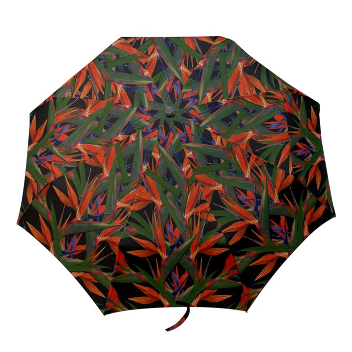 Bird Of Paradise Folding Umbrellas