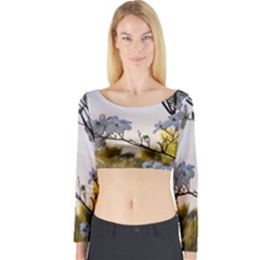 Morning Promise Long Sleeve Crop Top by oddzodd