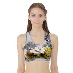 Morning Promise Sports Bra With Border by oddzodd