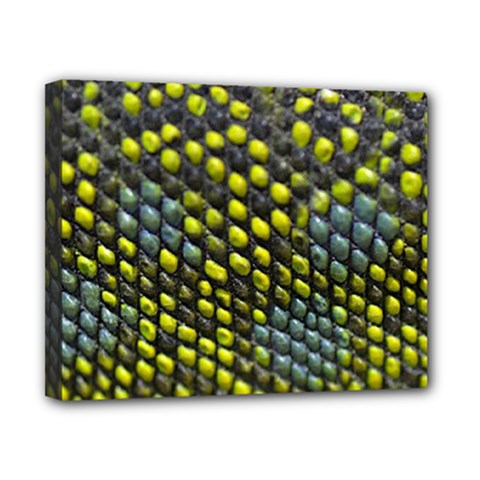 Lizard Animal Skin Canvas 10  X 8  by BangZart