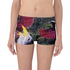 Cendrawasih Beautiful Bird Of Paradise Reversible Boyleg Bikini Bottoms by BangZart