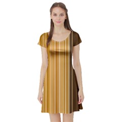 Brown Verticals Lines Stripes Colorful Short Sleeve Skater Dress by Mariart