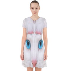 Beautiful White Face Cat Animals Blue Eye Adorable In Chiffon Dress by Mariart