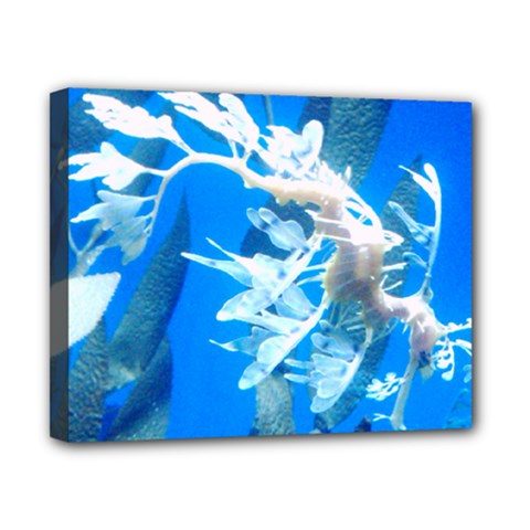 Life In The Water Canvas 10  X 8  (framed) by Oksana