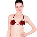 Ladybug Insects Colors Alegre Bikini Top View1