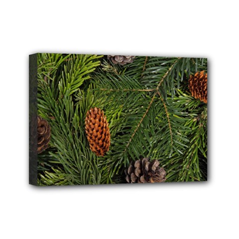 Branch Christmas Cone Evergreen Mini Canvas 7  X 5  by Celenk