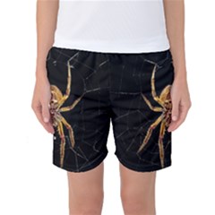 Insect Macro Spider Colombia Women s Basketball Shorts by BangZart