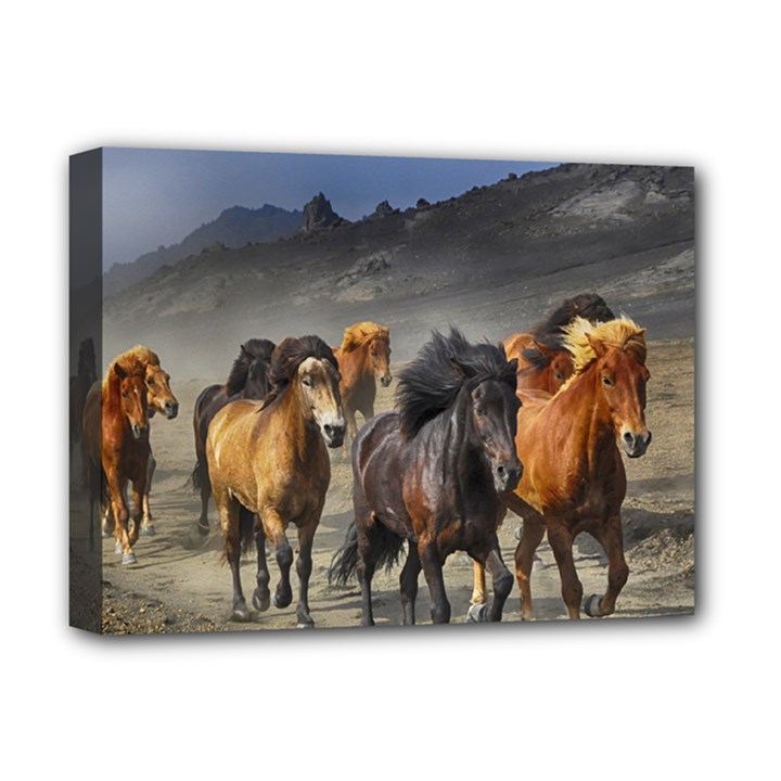 Horses Stampede Nature Running Deluxe Canvas 16  x 12  