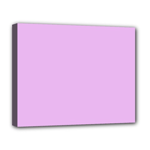 Baby Purple Deluxe Canvas 20  X 16   by snowwhitegirl