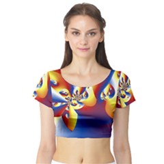 Mandelbrot Math Fractal Pattern Short Sleeve Crop Top by Nexatart