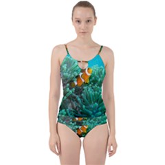 Clownfish 3 Cut Out Top Tankini Set by trendistuff