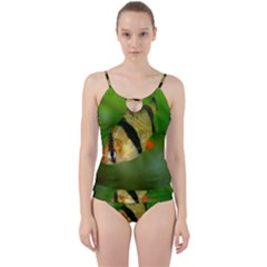 Tiger Barb Cut Out Top Tankini Set by trendistuff