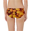 KUMQUAT 1 Classic Bikini Bottoms View2