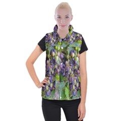 Grapes 2 Women s Button Up Vest by trendistuff