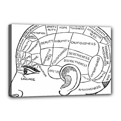 Brain Chart Diagram Face Fringe Canvas 18  X 12  by Nexatart