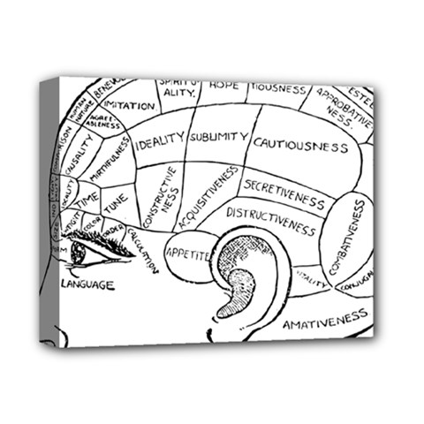 Brain Chart Diagram Face Fringe Deluxe Canvas 14  X 11  by Nexatart