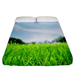 Green Landscape, Green Grass Close Up Blue Sky And White Clouds Fitted Sheet (queen Size) by Sapixe