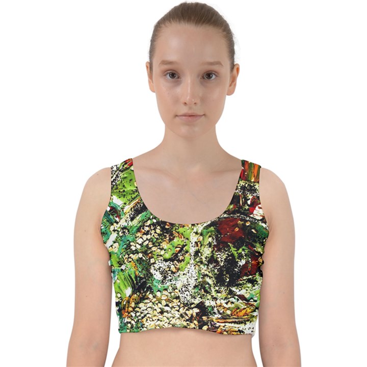 April   Birds Of Paradise 5 Velvet Racer Back Crop Top