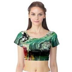 Twist 6 Short Sleeve Crop Top by bestdesignintheworld