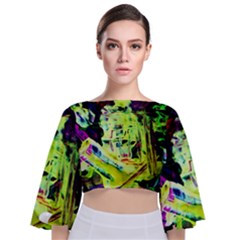 Spooky Attick 10 Tie Back Butterfly Sleeve Chiffon Top by bestdesignintheworld