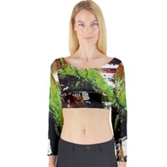 Collosium   Swards And Helmets 3 Long Sleeve Crop Top by bestdesignintheworld