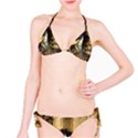 Awesome Steampunk Horse, Clocks And Gears In Golden Colors Classic Bikini Set View1