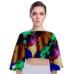 Global Warming 9 Tie Back Butterfly Sleeve Chiffon Top by bestdesignintheworld