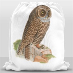 Bird Owl Animal Vintage Isolated Drawstring Bag (large) by Sapixe