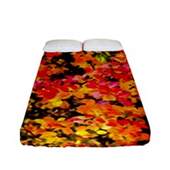 Orange, Yellow Cotoneaster Leaves In Autumn Fitted Sheet (full/ Double Size) by FunnyCow