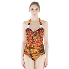 Orange, Yellow Cotoneaster Leaves In Autumn Halter Swimsuit by FunnyCow