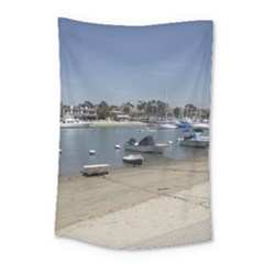 Balboa 3 Small Tapestry by bestdesignintheworld