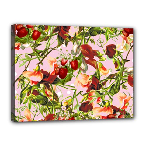 Fruit Blossom Pink Canvas 16  X 12  by snowwhitegirl