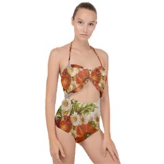 Poppy 2507631 960 720 Scallop Top Cut Out Swimsuit by vintage2030