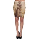 Lady 2507645 960 720 Bodycon Skirt View1