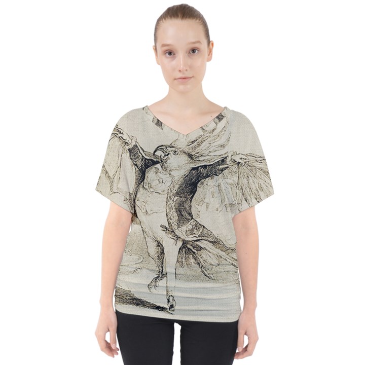 Bird 1515866 1280 V-Neck Dolman Drape Top